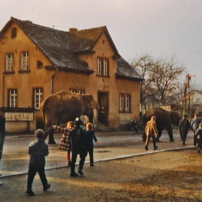 I Elefanten Zum Bahnhof 3 Bildgre Ndern